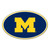 Michigan Wolverines Magnet Car Style 8 Inch CO