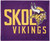 Minnesota Vikings Towel 15x18 Rally Style Full Color Style