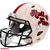 NFL Hall of Fame Helmet Riddell Replica Full Size Speed Style Retro Collection