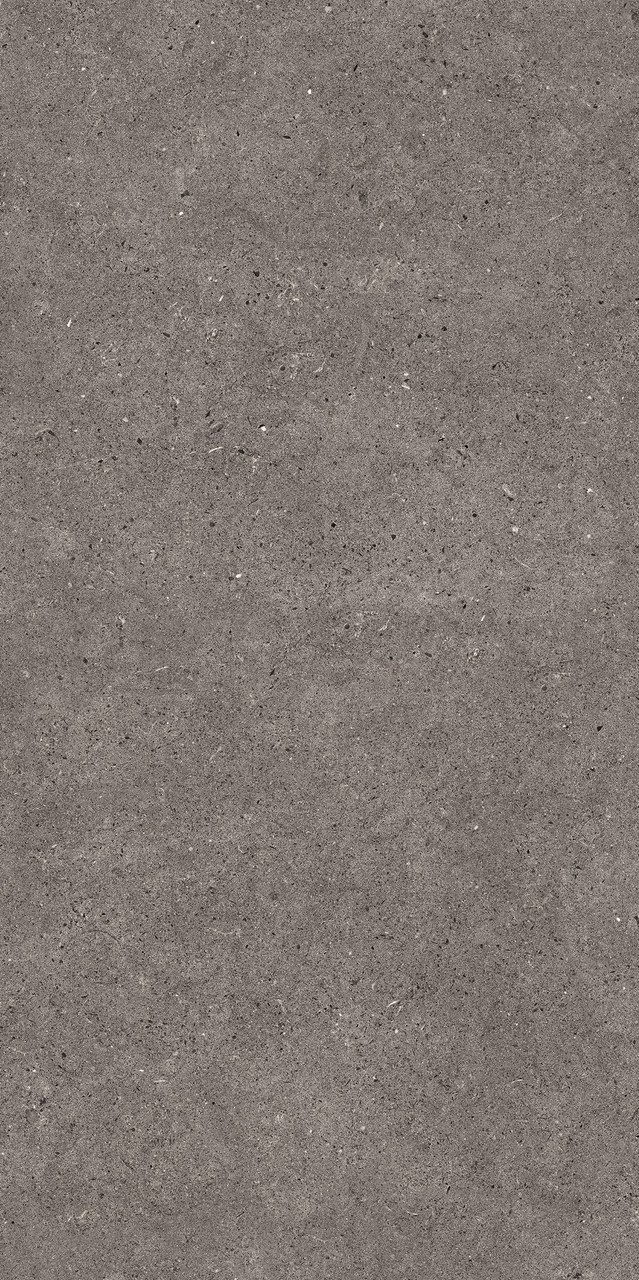 Dijon Grigio Matt 60x120 - Tile Space