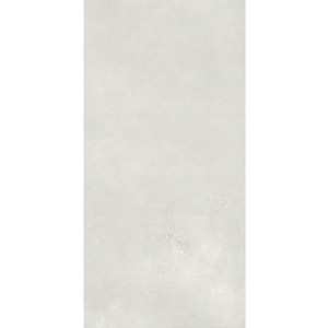 Vogue White Matt 30x60