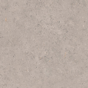 Biophilic Grey Matt 60