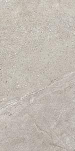 Magic Stone Ivory Gecko 30x60
