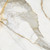 ML Calacatta Gold Satin 60