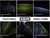 2026 ION Seek Core 5/4 Front Zip Wetsuit