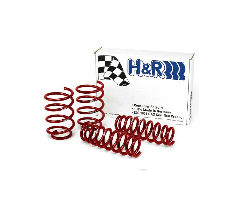 H&R ローダウンスプリングセット 29694-2 H&R Lowering Race Springs Springs