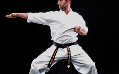 The Sounds of Martial Arts Part II