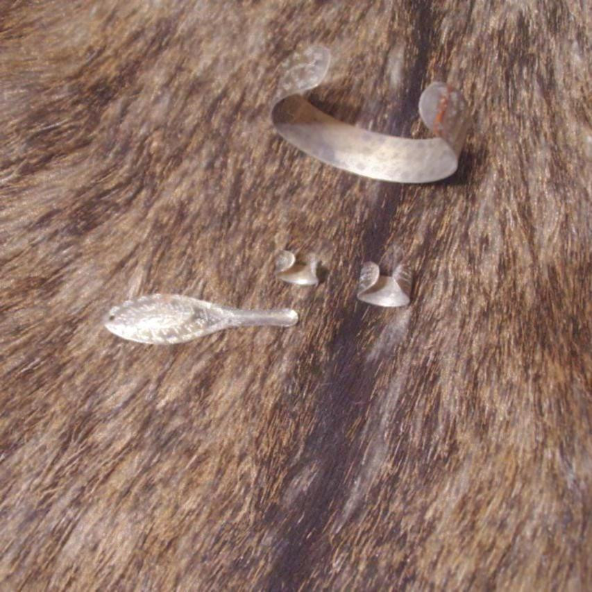 Titanium Ear Cleaning Spoon