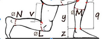 Measurements Guide