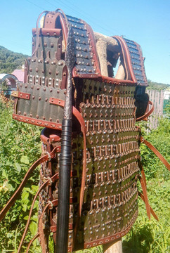 Birka Lamellar Torso