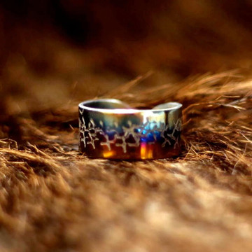 Titanium Ring