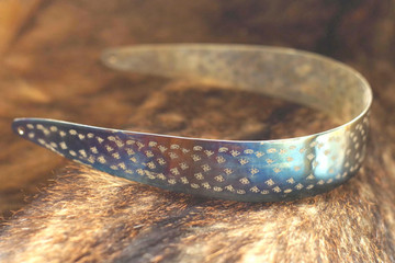 Titanium Headband