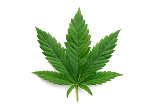 Can Americans be stripped of their Second Amendment rights for using marijuana?