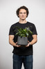 Baffle - Cruiser Tee - S