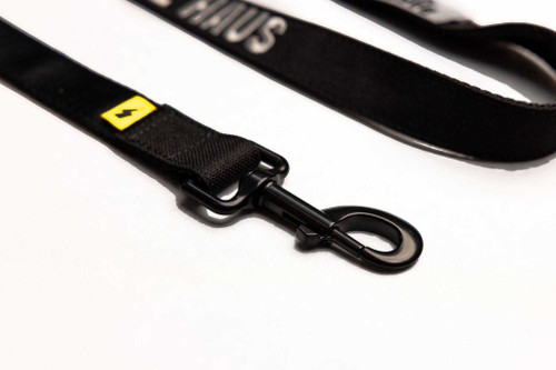 Baffle Haus Dog Lead - Black