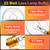 Lava Lamp Bulbs 25 Watt S11 E17 Intermediate Base for 14.5-Inch Lava Lamp
