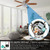 Ceiling Fan Switch 3 Speed 4 Wire, with Fan Capacitor CBB61 4.5uf + 6uf + 5uf 5 Wire 250V, Replacement of Fan Light Accessories,Bronze Chain