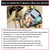 Ceiling Fan Switch 3 Speed 4 Wire, with Fan Capacitor CBB61 4.5uf + 6uf + 5uf 5 Wire 250V, Replacement of Fan Light Accessories,Bronze Chain