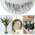 20 Pcs Preserved Dried Eucalyptus Stems, Eucalyptus Branches for Shower
