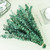 20 Pcs Preserved Dried Eucalyptus Stems, Eucalyptus Branches for Shower