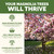Magnolia Tree Fertilizer – Liquid Plant Food for Blooms and Roots, 8 oz