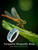 Lypic Dragonfly Ring 925 Sterling Silver Turquoise Ring Dragonfly Jewelry Gift for Women Mom (Size 7)