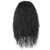 Wallden Hair Black Long Curly Wig for Women and Men Fluffy Mad Funny Wigs for Movie Cosplay Costume Party Halloween（Black）