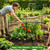 Crop Cages for Garden, Large Chicken Wire Crop Cage for Raised Garden Bed