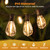 Larkvue 75FT LED Outdoor String Lights, Patio Light, 22+2 S11 Bulbs, Black