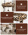 SYANDLVY Small Leopard Print Cat Tree for Indoor Cats, Modern Cat House