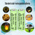 12Pcs AA 600mAh Solar String Light Rechargeable Batteries