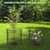 PASARA 10 Pack Plant Protectors from Animals, 13 Inch Round Cloche Plant Cages with Sturdy Chicken Wire Mesh, Garden Cages to Keep Animals Out for Vegetables & Flowers, Includes Support Stakes
