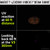 uvBeast V3 365nm Black Light UV Flashlight, High Power and Long Range