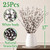 25 Stems Pussywillow Branches, Dried White Willow 15-17" for Vase Decor