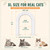XL Cat Door for Interior Doors Easy to Install in Minutes, No-Flap, White