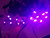 RGBW Rock Lights - Single Pod RGBW Rock Lights - Single Pod