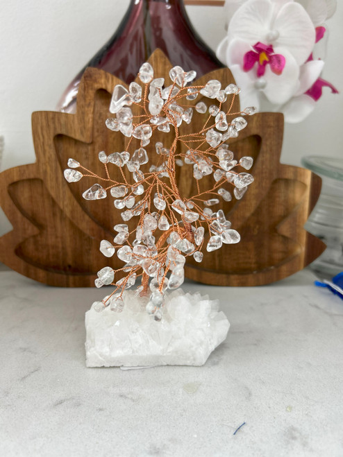 Tree Chip - Quartz on Quartz Bed Tree Chip - Quartz on Quartz Bed