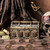 Pirate Coins Treasure