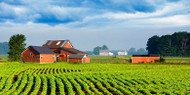 49 Small Business Ideas For Rural Areas