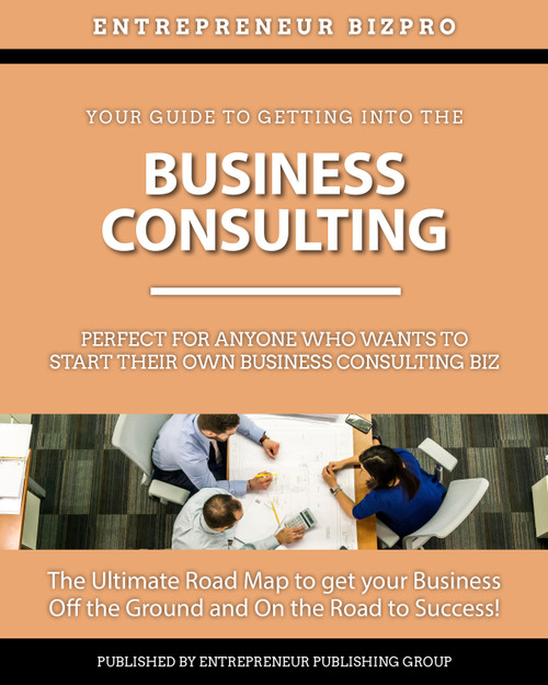 Start Up Kit - BUSINESS CONSULTANT BIZ