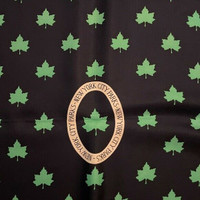 New York City Parks Navy & Spruce Green Conservation 100% Silk Scarf