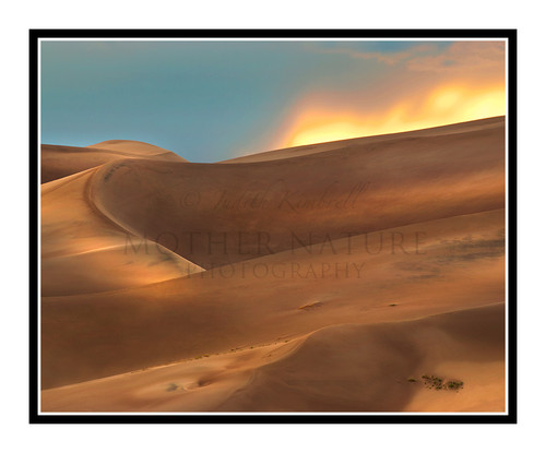 Sand Dunes Detail at the Great Sand Dunes National Park, Colorado 1954