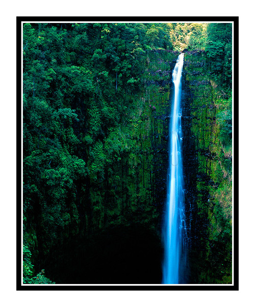 Akaka Falls Waterfall on the Big Island, Hawaii 184 
