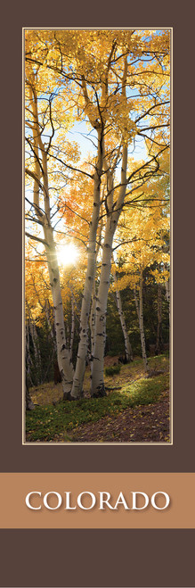 Colorado Bookmark - Mueller State Park 2513 Front