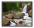 Alberta Falls in Summer in Rocky Mountain National Park, Colorado 1604