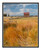 Old Barn in Mueller State Park, Colorado 2007