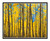 Aspens in Autumn in Aspen, Colorado 176