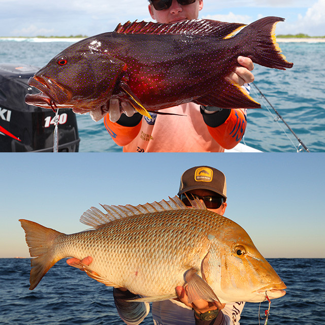 FCLLABO　UCB73-M FCL Labo UCB-73 M Offshore Spinning Rod - Fish Head