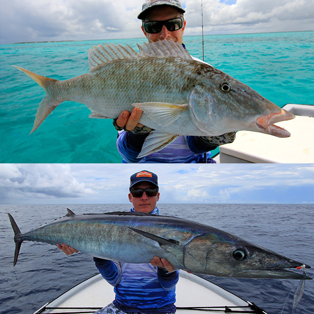 FCL Labo UCB-73 L Offshore Spinning Rod - Fish Head