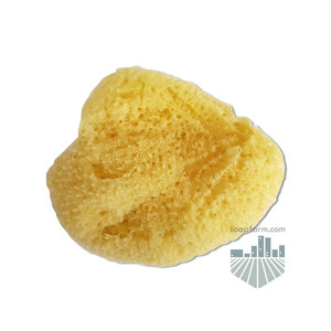 Mediterranean Silk Cosmetic Sponge 2 inch Mediterranean Silk Cosmetic Sponge 2 inch